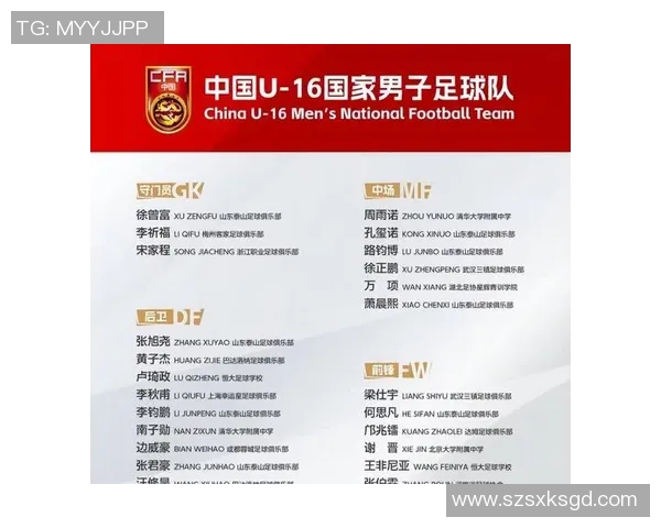 全球足球巨星国家队阵容揭秘 各国顶级球员集结名单一览 全球足球巨星国家队阵容揭秘 各国顶级球员集结名单一览